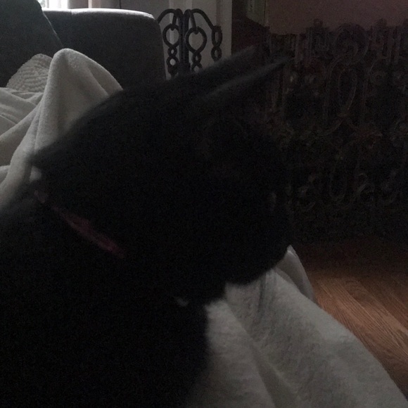 Meet the Posher Other - Meet your Posher, Kris Ann